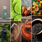 آمواج امواج سرچ Amouage Search