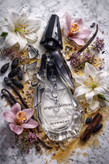 جیوانچی انجی دیمون اترنج Givenchy Ange Ou Demon Erange