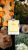 عطر مردانه تق هرمس(terre de hermes) چوبی خاکی مرکباتی ۴فصل