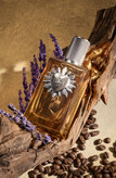 دیوشن (دوشن) دولچه گابانا Dolce and Gabbana Devotion
