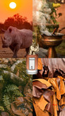 پنهالیگونز تریبل تدی Penhaligons Terrible Teddy