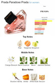 پرادا پارادوکس Prada Paradoxe