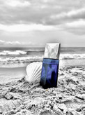 ایسی میاکی بلو پور هوم Issey Miyake Bleue Pour Homme