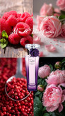 لانکوم لنکوم میدنایت رز مید نایت رز( رز الیکسیر ) Lancome Midnight Rose