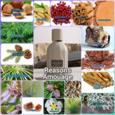 آمواج امواج ریزنز ریزنس Amouage Reasons