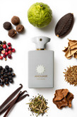 آمواج امواج دسیژن (دیسیژن) Amouage Decision