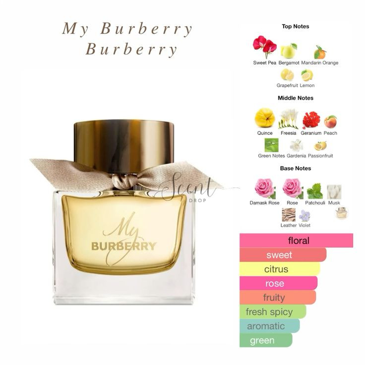 مای باربری بربری My Burberry