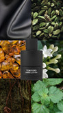 تام فورد امبر لدر Tom Ford ombre Leather
