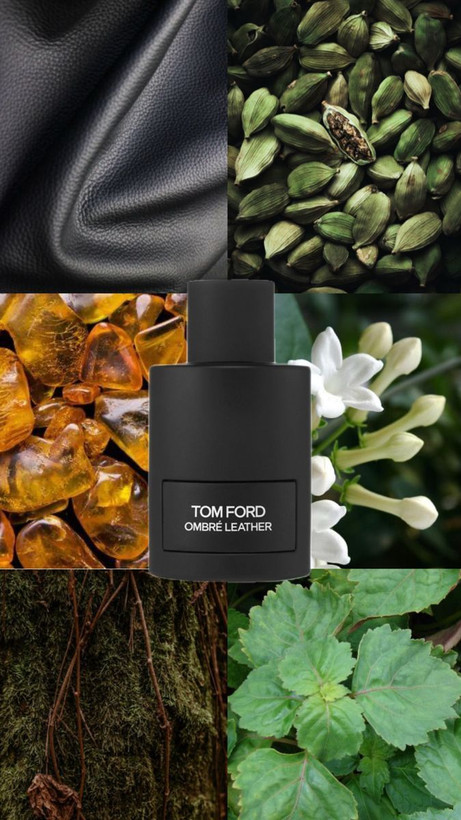 تام فورد امبر لدر Tom Ford ombre Leather