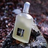 تام فورد گری وتیور Tom Ford Grey Vetiver