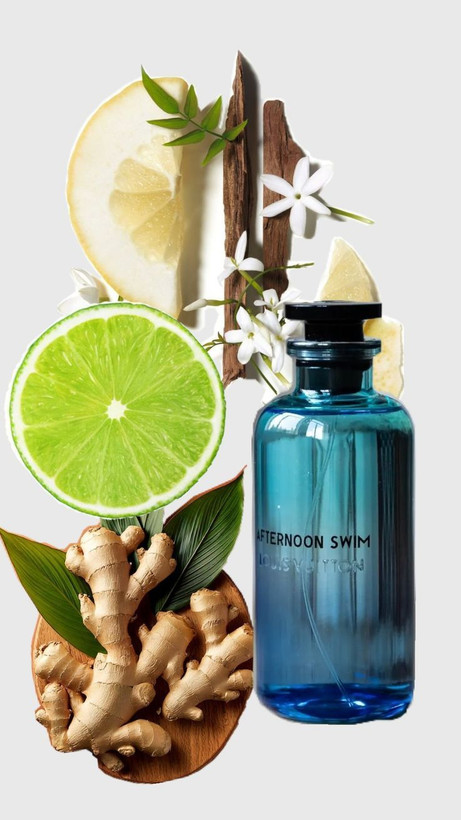 لویی ویتون افترنون سوییم Louis Vuitton Afternoon Swim
