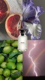 لویی ویتون اوراژ اوراج Louis Vuitton Orage