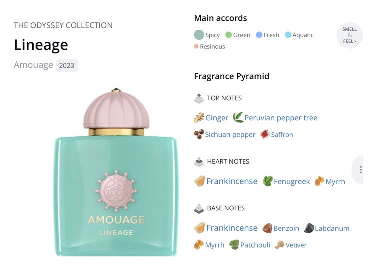 آمواج امواج لینیج لینچ Amouage Lineage