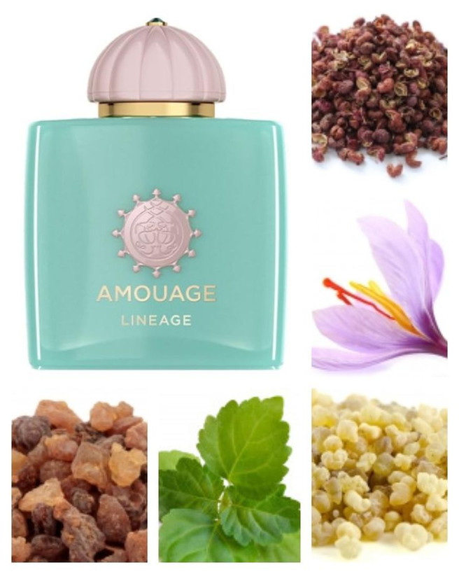 آمواج امواج لینیج لینچ Amouage Lineage