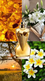 ژان پل گوتیه دیواین Jean Paul Gaultier Divine