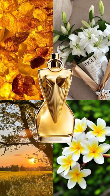 ژان پل گوتیه دیواین Jean Paul Gaultier Divine