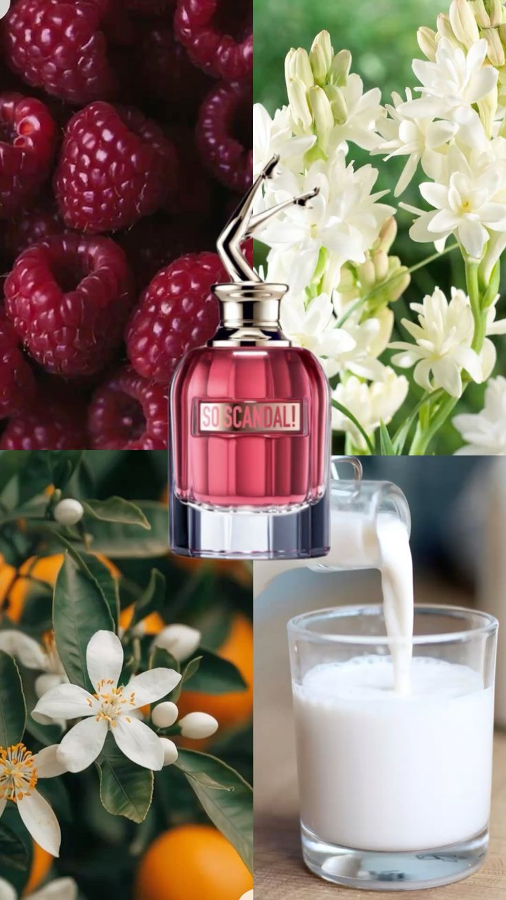 ژان پل گوتیه سو اسکندل Jean Paul Gaultier So Scandal