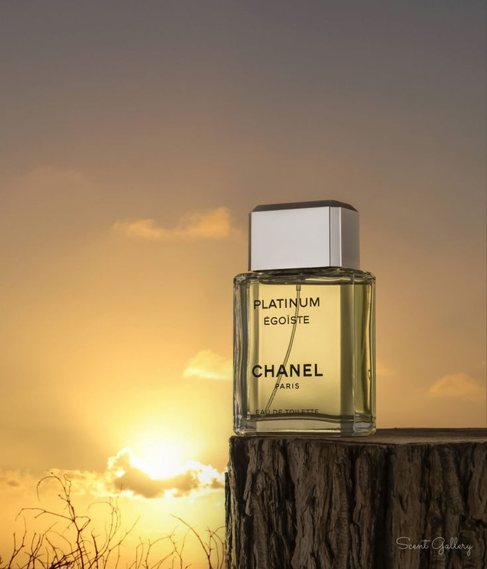 شنل پلاتینیوم اگویست Chanel Egoiste Platinum
