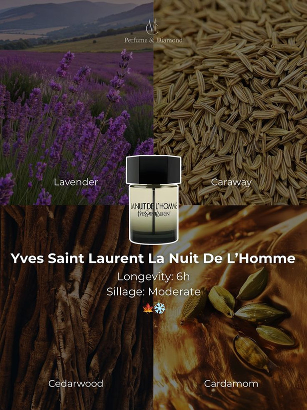 ایو سن لورن لوران لهوم لا نویت YSL La Nuit de L'homme