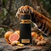 بولگاری تایگار تایگر Bvlgari tygar