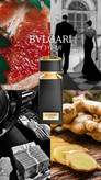 بولگاری تایگار تایگر Bvlgari tygar