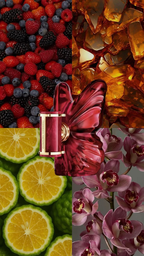 کارولینا هررا لا بومبا Carolina Herrera la bomba